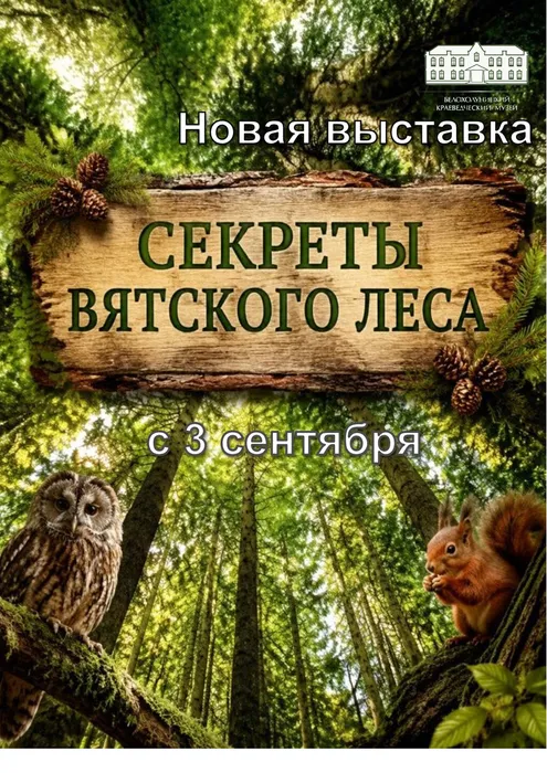 Секреты-Вятского-леса.